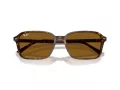 Ray-Ban Raimond Sonnenbrille RB 2231 141833 58