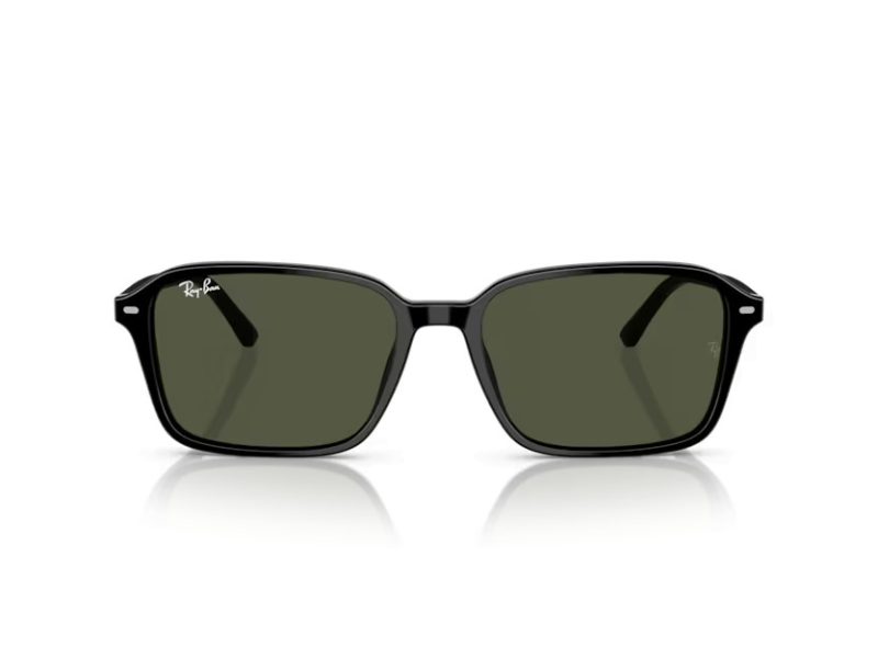 Ray-Ban Raimond Sonnenbrille RB 2231 901/31