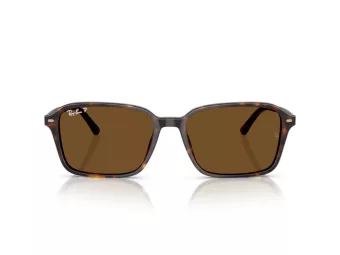 Ray-Ban Raimond Sonnenbrille RB 2231 902/57 56