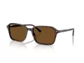 Ray-Ban Raimond Sonnenbrille RB 2231 902/57 58