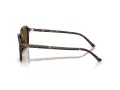 Ray-Ban Raimond Sonnenbrille RB 2231 902/57 58
