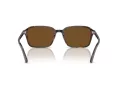 Ray-Ban Raimond Sonnenbrille RB 2231 902/57 58