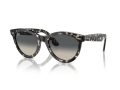 Ray-Ban Wayfarer Way Sonnenbrille RB 2241 133371