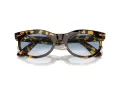 Ray-Ban Wayfarer Oval Sonnenbrille RB 2242 13323F 53