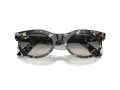 Ray-Ban Wayfarer Oval Sonnenbrille RB 2242 133371 50