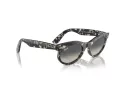 Ray-Ban Wayfarer Oval Sonnenbrille RB 2242 133371 53