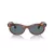 Ray-Ban Wayfarer Oval Sonnenbrille RB 2242 954/3R 50