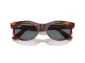 Ray-Ban Wayfarer Oval Sonnenbrille RB 2242 954/3R 50