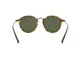 Ray-Ban Round Sonnenbrille RB 2447 1157
