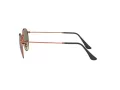 Ray-Ban Round Metal Sonnenbrille RB 3447 9002/A6 47