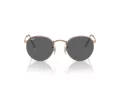 Ray-Ban Round Metal Sonnenbrille RB 0RB3447 9202B1 47