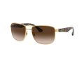 Ray-Ban Sonnenbrille RB 3533 001/13