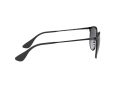 Ray-Ban Erika Metal Sonnenbrille RB 3539 002/8G