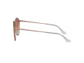 Ray-Ban Blaze Round Sonnenbrille RB 3574N 9035/V0