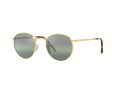 Ray-Ban New Round Sonnenbrille RB 3637 9196/G4