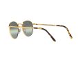 Ray-Ban New Round Sonnenbrille RB 3637 9196/G4