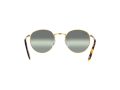 Ray-Ban New Round Sonnenbrille RB 3637 9196/G4