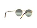 Ray-Ban New Round Sonnenbrille RB 3637 9196/G4