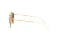 Ray-Ban Sonnenbrille RB 3647N 001/4O