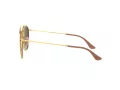Ray-Ban Sonnenbrille RB 3647N 001/7O