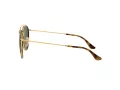 Ray-Ban Sonnenbrille 3647N 001