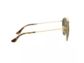 Ray-Ban Sonnenbrille 3647N 001