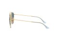 Ray-Ban Sonnenbrille RB 3647N 9123/3M