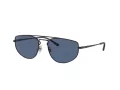 Ray-Ban Sonnenbrille RB 3668 9014/80