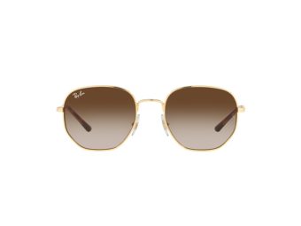 Ray-Ban Sonnenbrille RB 3682 001/13