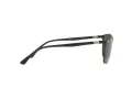 Ray-Ban Sonnenbrille RB 3686 186/31