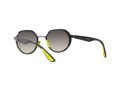 Ray-Ban Sonnenbrille RB 3703M F030/11