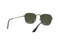 Ray-Ban Frank Sonnenbrille RB 3857 9199/31