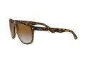 Ray-Ban Boyfriend Sonnenbrille RB 4147 710/51