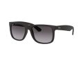 Ray-Ban Justin Sonnenbrille 4165 601/8G