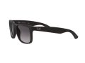 Ray-Ban Justin Sonnenbrille 4165 601/8G