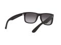 Ray-Ban Justin Sonnenbrille 4165 601/8G