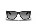 Ray-Ban Justin Sonnenbrille 4165 622/T3