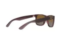 Ray-Ban Justin Sonnenbrille RB 4165 6597/T5 51