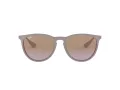 Ray-Ban Erika Sonnenbrille RB 4171 6000/68