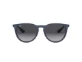 Ray-Ban Erika Sonnenbrille RB 4171 6002/8G