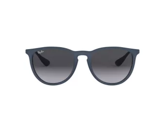 Ray-Ban Erika Sonnenbrille RB 4171 6002/8G