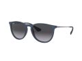 Ray-Ban Erika Sonnenbrille RB 4171 6002/8G