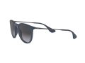 Ray-Ban Erika Sonnenbrille RB 4171 6002/8G