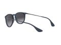 Ray-Ban Erika Sonnenbrille RB 4171 6002/8G