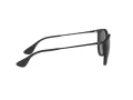 Ray-Ban Erika Sonnenbrille RB 4171 622/8G