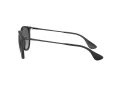 Ray-Ban Erika Sonnenbrille RB 4171 622/T3