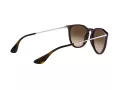 Ray-Ban Erika Sonnenbrille RB 4171 6315/13