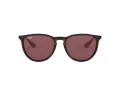 Ray-Ban Erika Sonnenbrille RB 4171 6391/75