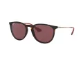 Ray-Ban Erika Sonnenbrille RB 4171 6391/75