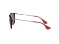 Ray-Ban Erika Sonnenbrille RB 4171 6391/75